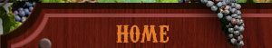 home button