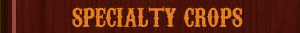 specialty crops